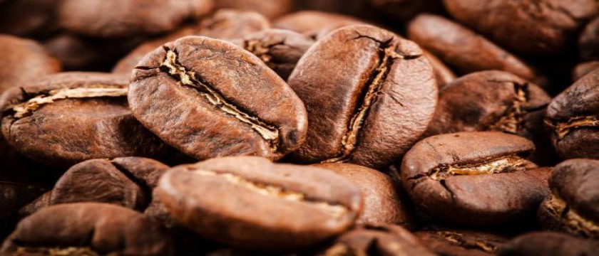 Coffe Production in Tanzania